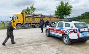 ORMAN NAKLİYESİNE YAKIN TAKİP