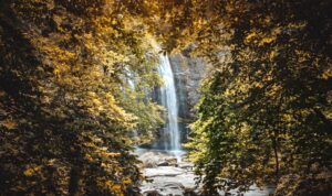 ORMANLIK ALANLARDA PİKNİK YASAKLANDI