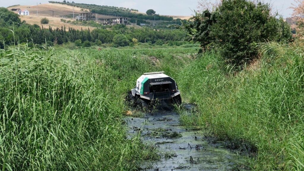 DERE YATAKLARINDA SİNEKLE MÜCADELE