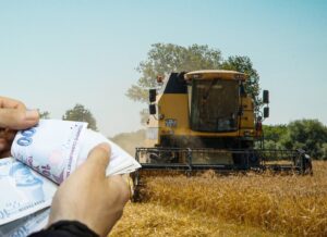 HUBUBAT ALIM FİYATLARI NETLEŞTİ