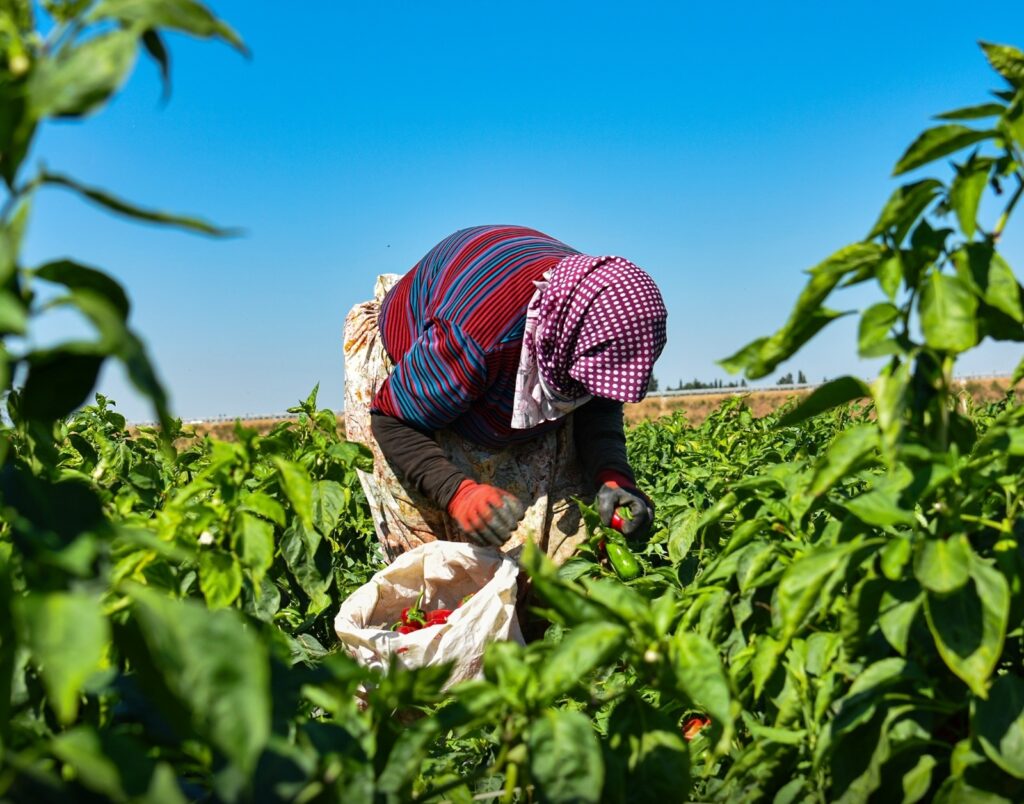 KOMİSYONDAN YEVMİYE KARARI