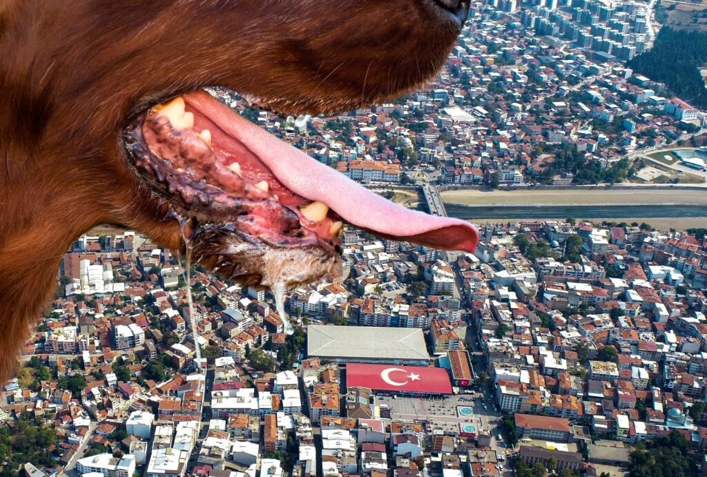 KUDUZ HARİTASINDA 4 MAHALLE