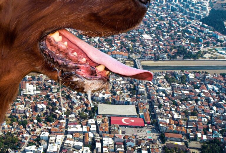 KUDUZ HARİTASINDA 4 MAHALLE