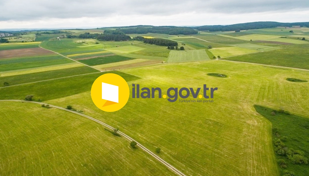 MAHKEMEDEN SATILIK TARLA
