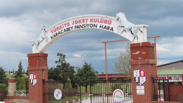 NALBANTLIK KURSU YENİDEN BAŞLIYOR