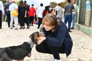SOKAK HAYVANLARI İÇİN YENİ KANUN