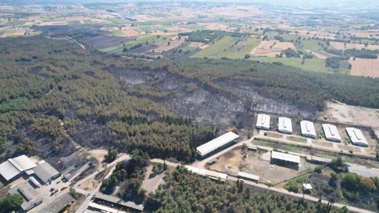 ÜNİVERSİTEDEKİ YANGININ HASARI ORTAYA ÇIKTI
