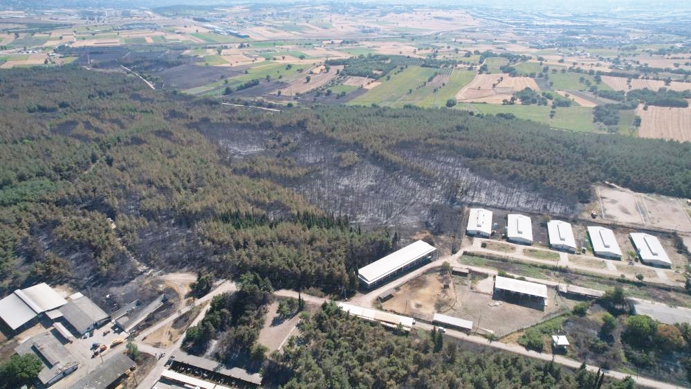 ÜNİVERSİTEDEKİ YANGININ HASARI ORTAYA ÇIKTI