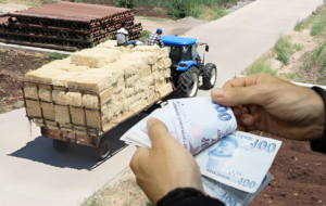 BİTKİSEL ÜRETİM DESTEKLEMELERİ BELLİ OLDU