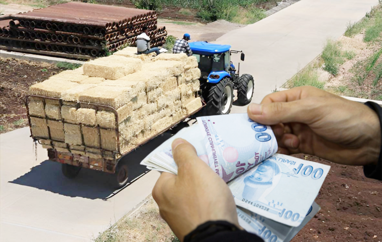 BİTKİSEL ÜRETİM DESTEKLEMELERİ BELLİ OLDU