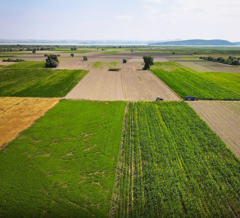 İŞLENMEYEN TARIM ARAZİLERİ İÇİN YENİ FORMÜL