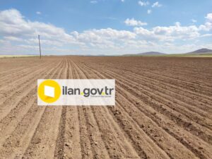 MAHKEMEDEN SATILIK TARLA