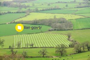 MAHKEMEDEN SATILIK TARLA