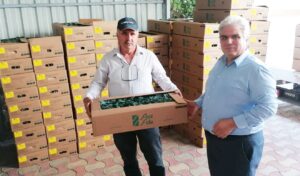 BAKANLIK HİBELİ KIŞLIK SEBZE FİDELERİ DAĞITILDI