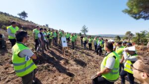 ORMANLAR GELECEĞE HAZIRLANIYOR