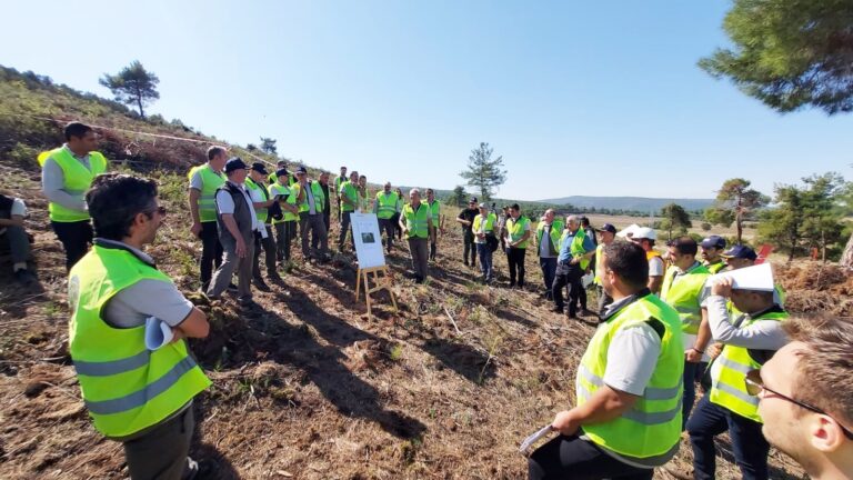 ORMANLAR GELECEĞE HAZIRLANIYOR