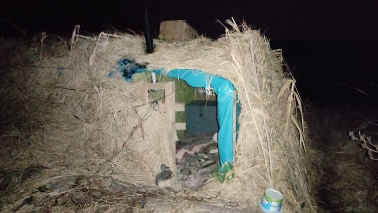 CANLI MÜHRELERE EL KONDU