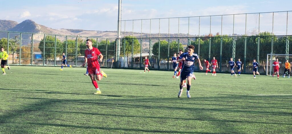 ÇIRPAN VE ROMAN PUAN AVINDA