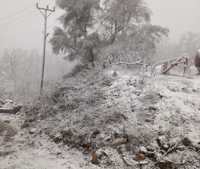 MERKEZDE YAĞMUR, KIRSALDA KAR VAR