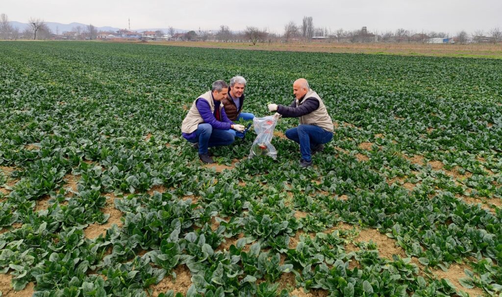 İLAÇ KALINTISINA GEÇİT YOK