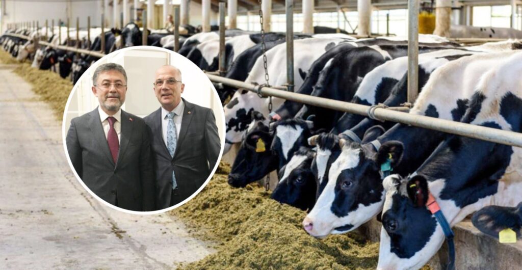 ‘HAYVANCILIĞA DESTEK PROJESİ’ BAŞLADI