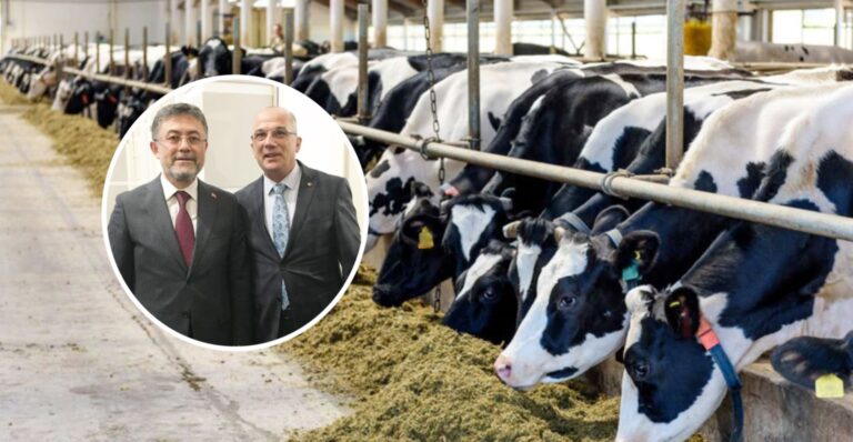 ‘HAYVANCILIĞA DESTEK PROJESİ’ BAŞLADI