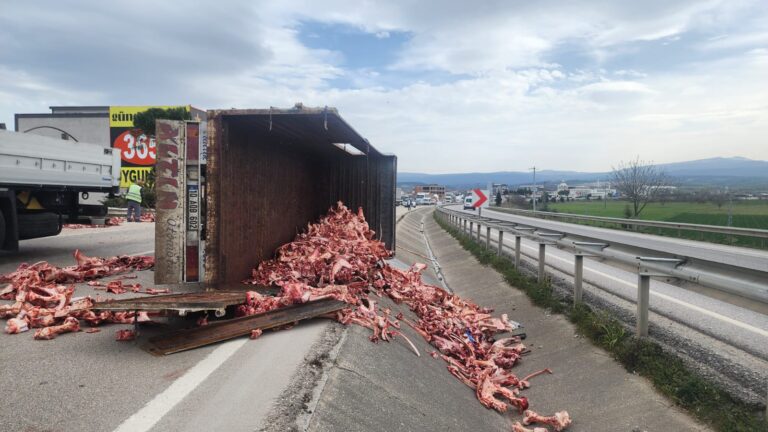 YOL MEZBAHAYA DÖNDÜ