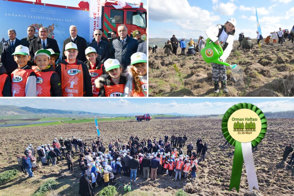 ORMAN HAFTASI’NDA DEFNE DİKİMİ