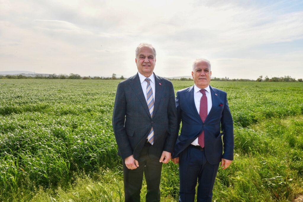 BELEDİYE 200 DÖNÜM AYÇİÇEĞİ EKİMİ YAPACAK