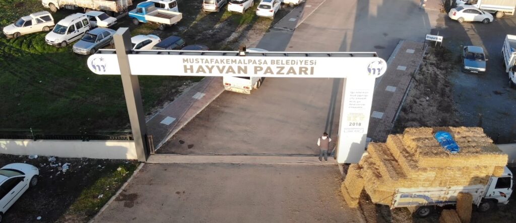HAYVAN PAZARINA ‘ŞAP’ TEDBİRİ