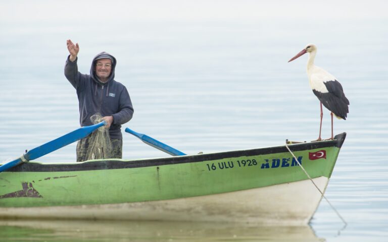 MUSTAFAKEMALPAŞA’YI ‘LEYLEK ŞENLİĞİ’ SARACAK