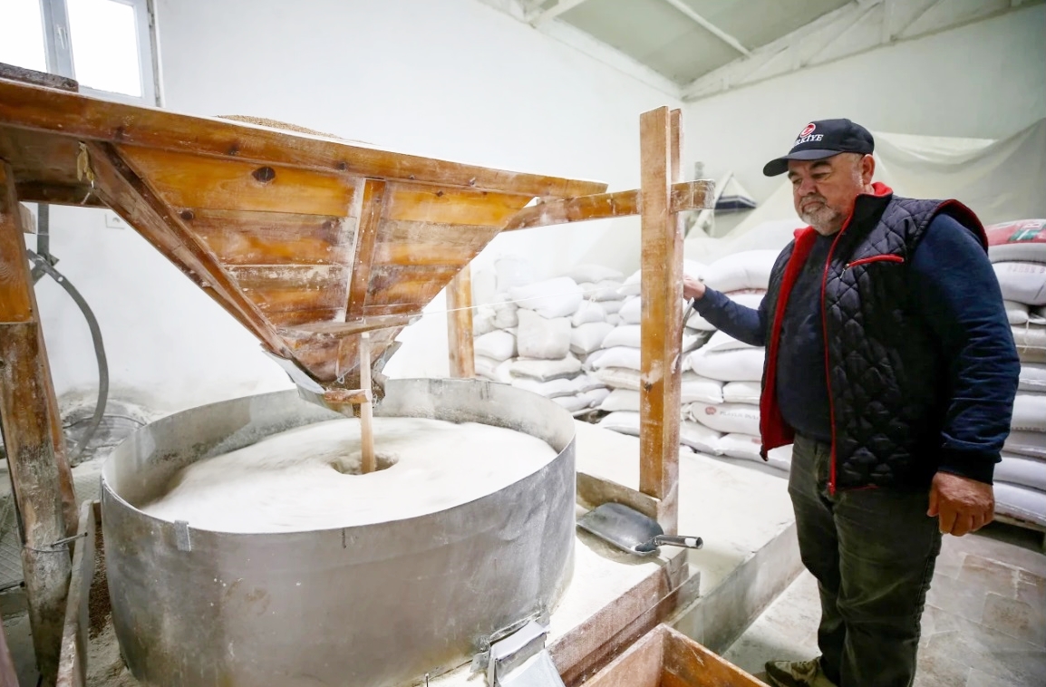 TARİHİ DEĞİRMENDE ATA TOHUMUYLA UN ÜRETİYOR