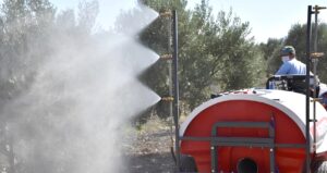 MUSTAFAKEMALPAŞA’DA ‘ZEYTİN GÜVESİ’ UYARISI