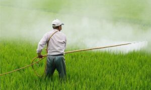 DENETİMLER ARTACAK, ÜRÜNLER İMHA EDİLECEK