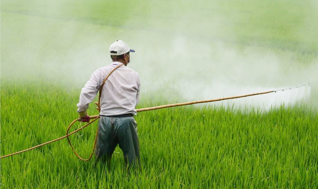 DENETİMLER ARTACAK, ÜRÜNLER İMHA EDİLECEK