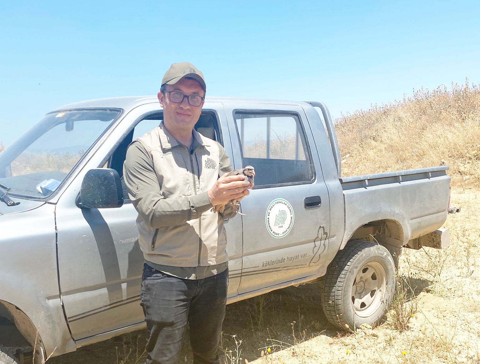 DOĞAYA KEKLİK SALINDI, AVLANMA YASAK