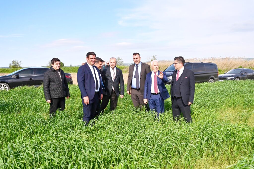 HİBE ‘MAZOT DESTEĞİ’ İÇİN BAŞVURULAR BAŞLADI