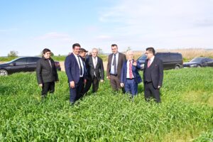 HİBE ‘MAZOT DESTEĞİ’ İÇİN BAŞVURULAR BAŞLADI