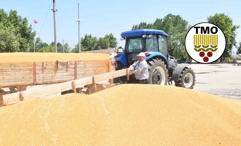 TMO, MUSTAFAKEMALPAŞA’DA ALIMA BAŞLIYOR