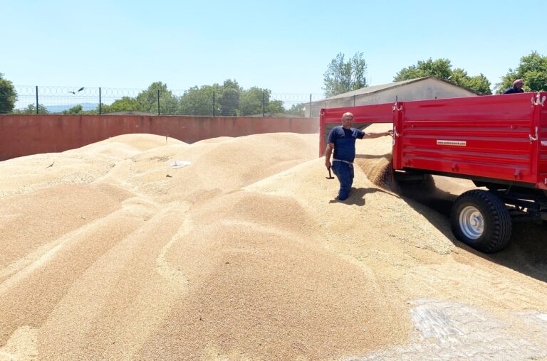TMO, MUSTAFAKEMALPAŞA’DA ALIMA BAŞLADI