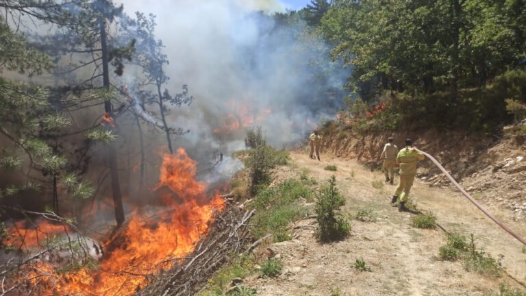 ALACAAT’TAKİ ORMAN YANGINI KONTROL ALTINDA