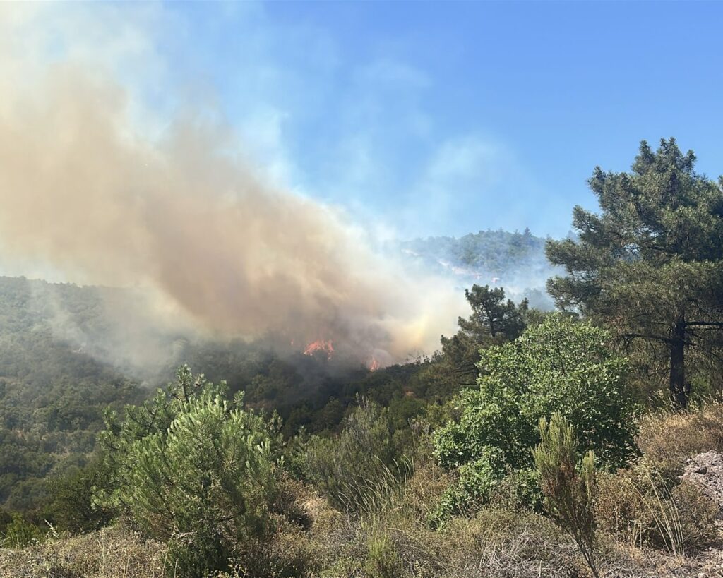 ALACAAT’TAKİ YANGININ SEBEBİ BELİRLENDİ