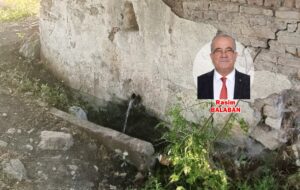 DOĞANCI KÖYÜ ARAZİ ÇEŞMESİ