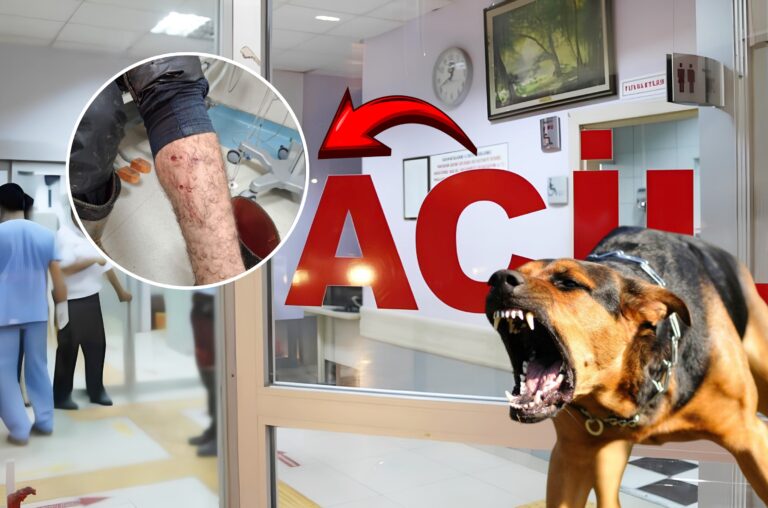 VETERİNER HEKİMİ KÖPEK ISIRDI