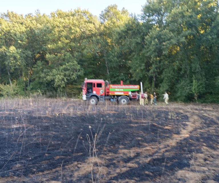 MUSTAFAKEMALPAŞA’DAKİ YANGIN TEDİRGİN ETTİ