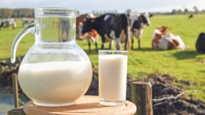 ÇİĞ SÜT FİYATLARINA ZAM GELDİ