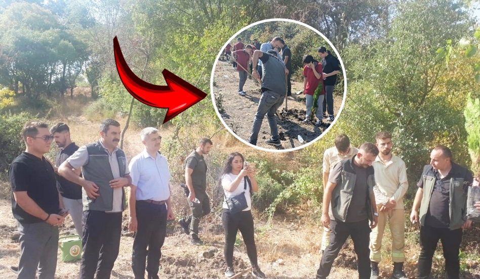 LALAŞAHİNLİ ÖĞRENCİLER ‘YEŞİL VATAN’A SAHİP ÇIKTI