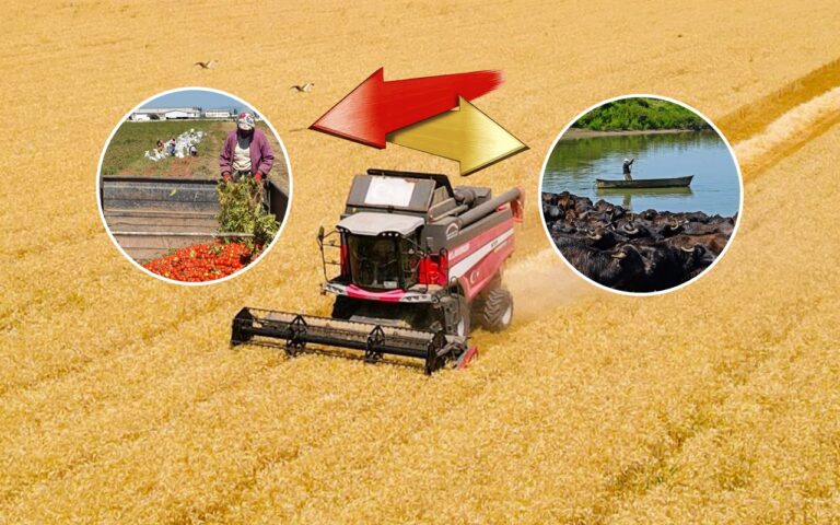 TARIM VE HAYVANCILIK DESTEKLERİ ARTIRILDI