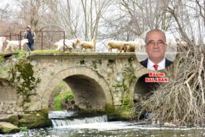 TAŞKÖPRÜ’DEN İZLENİMLER