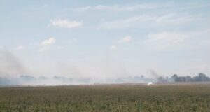 YAMANLI’DAKİ YANGINA MÜDAHALE EDİLİYOR